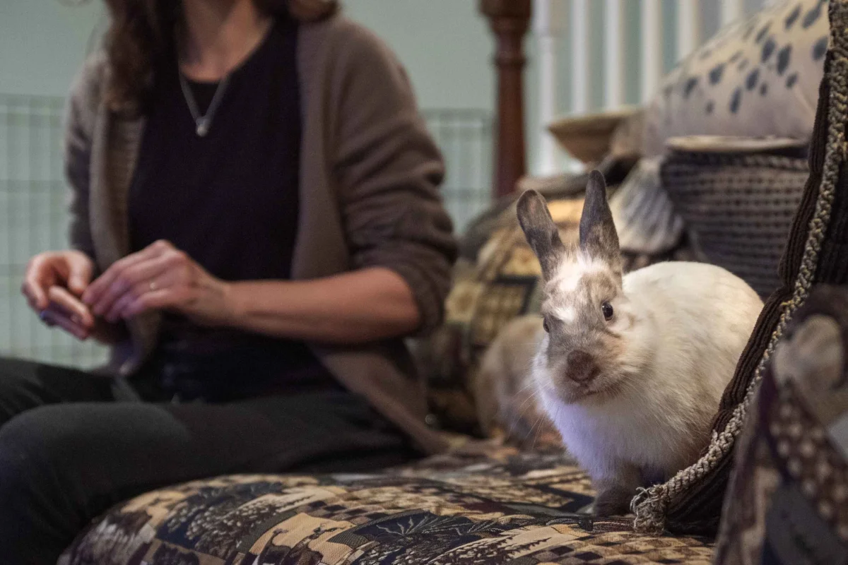 20241108 Julie A and Eleanor rabbit (95)