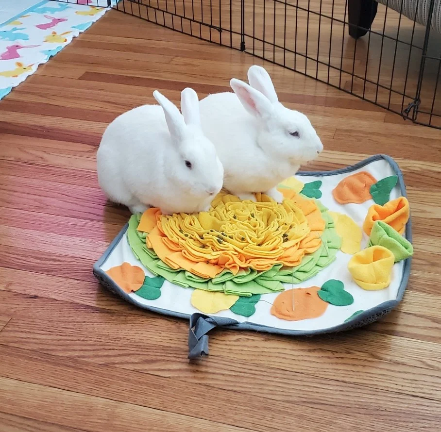 Lily and Eggbert