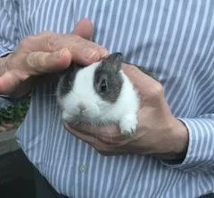 Belinda Says Hay: ”Stories from the Street”