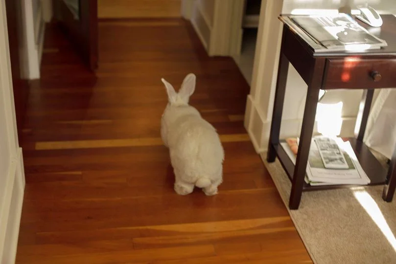 Belinda runs down the hall