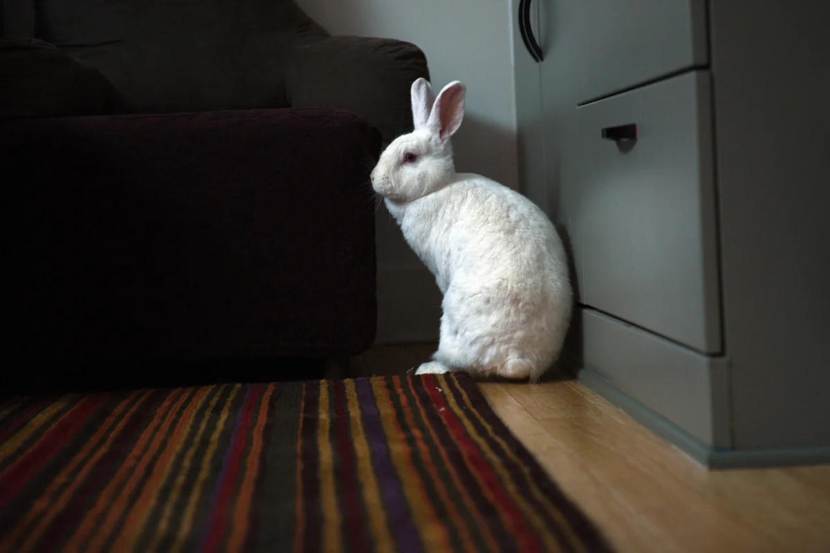 Belinda tries to hide by the file cabinet