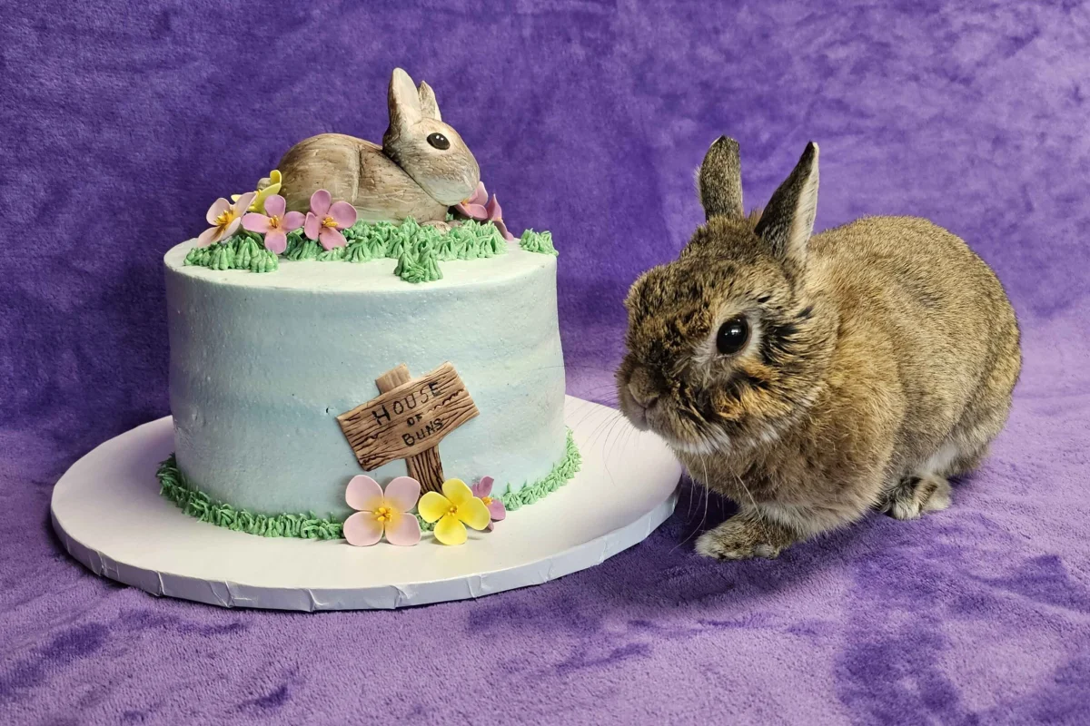 Belinda Says Hay: “Abigail’s 1st Anniversary”