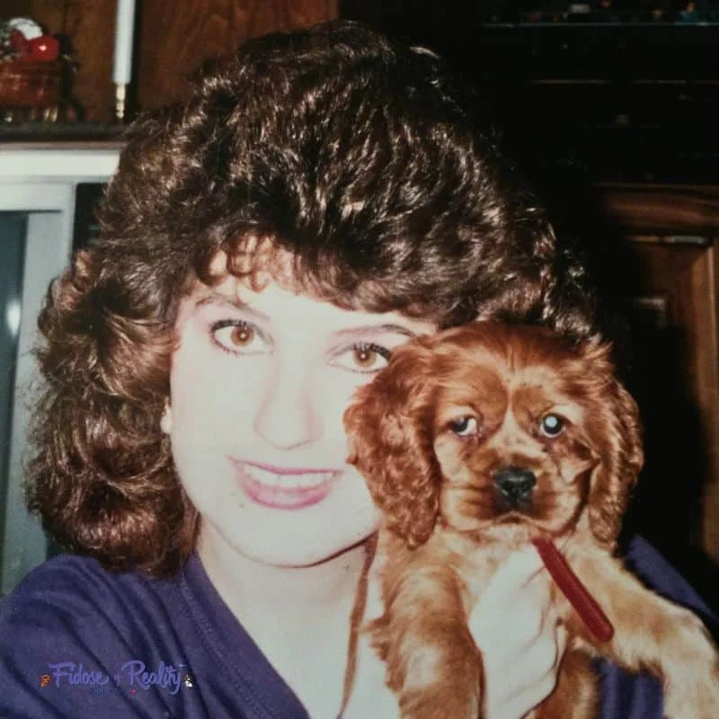 American Cocker Spaniel puppy