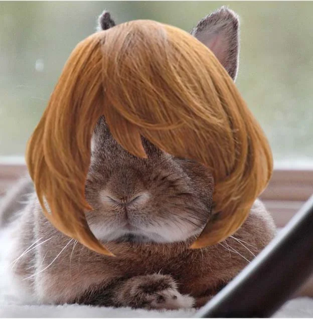 Abigail long bangs