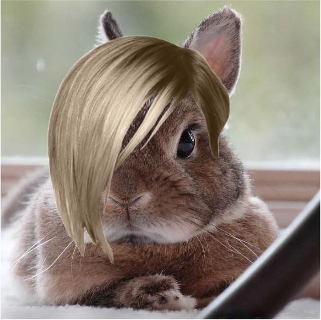Abigail side bob