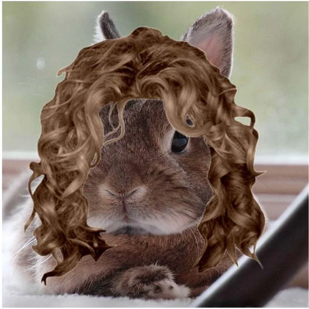 Abigail curly