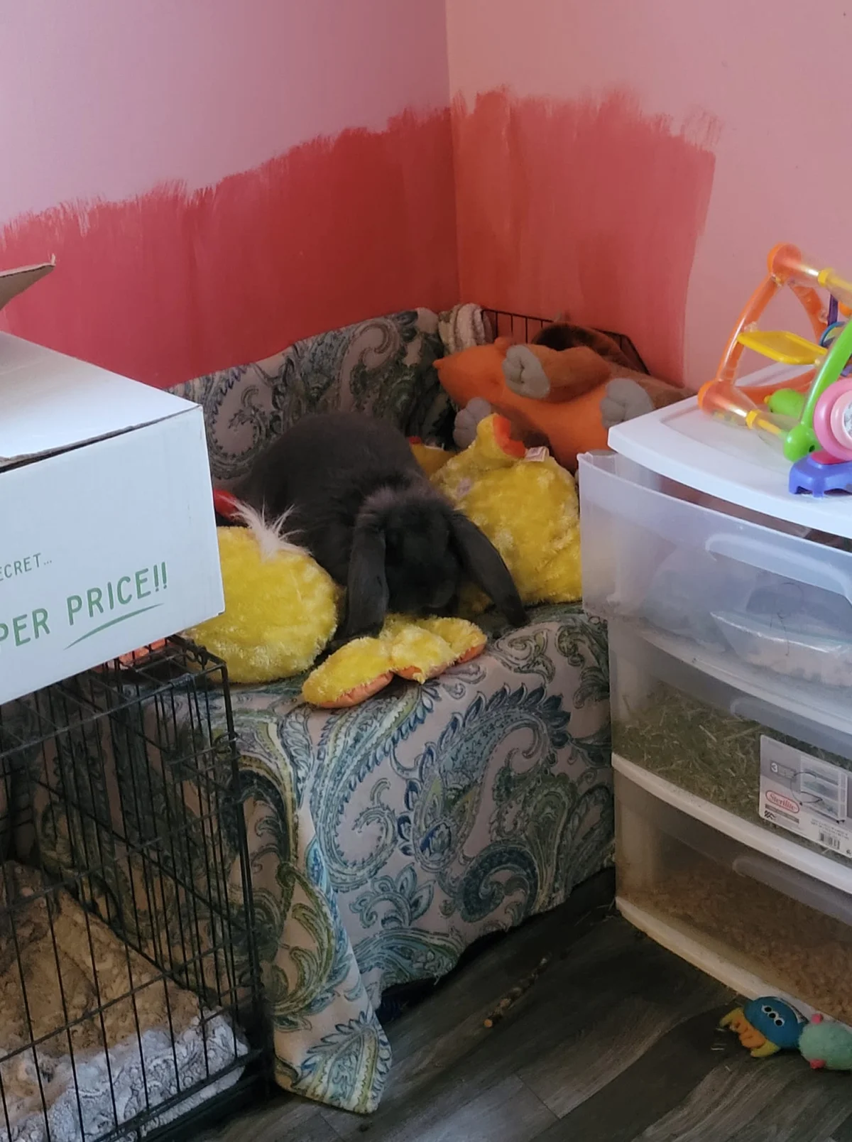 Dolly hiding in the toys