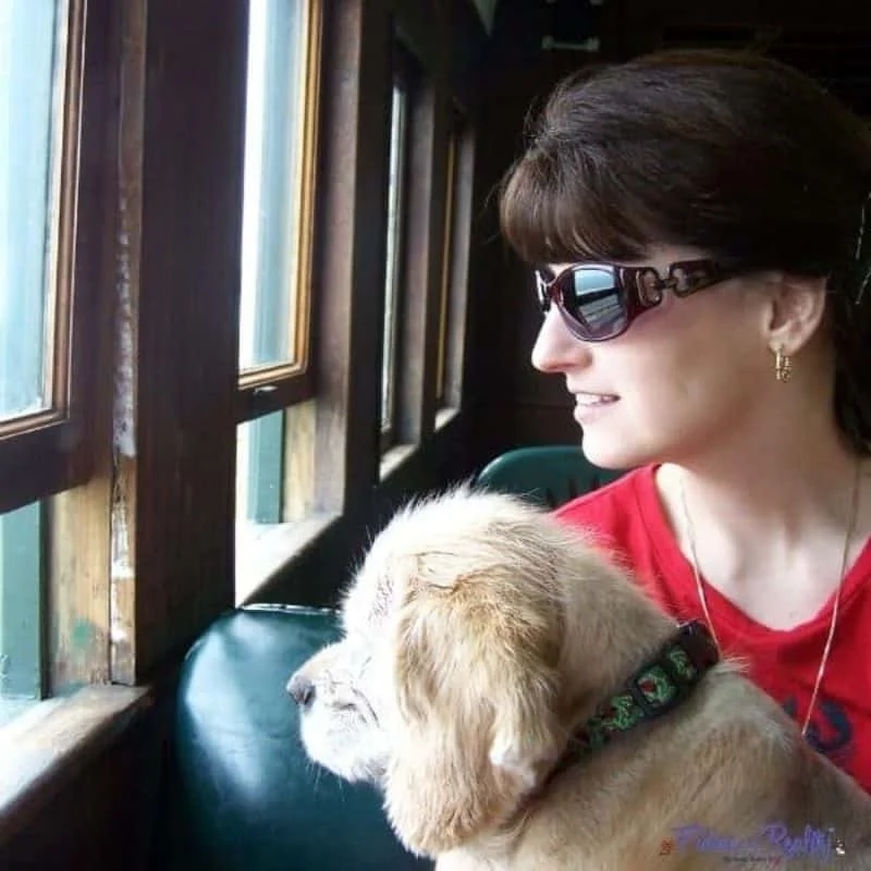 When To Get Another Dog After Your Dog Dies