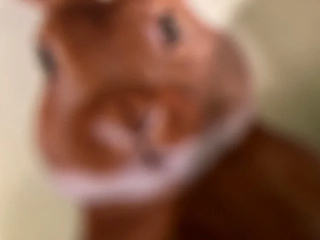 Rabbit on Healthy Snackers package