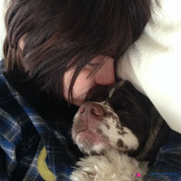American Cockers love to snuggle