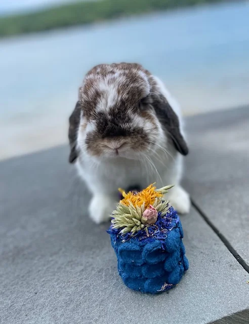 Phil posing with a posy