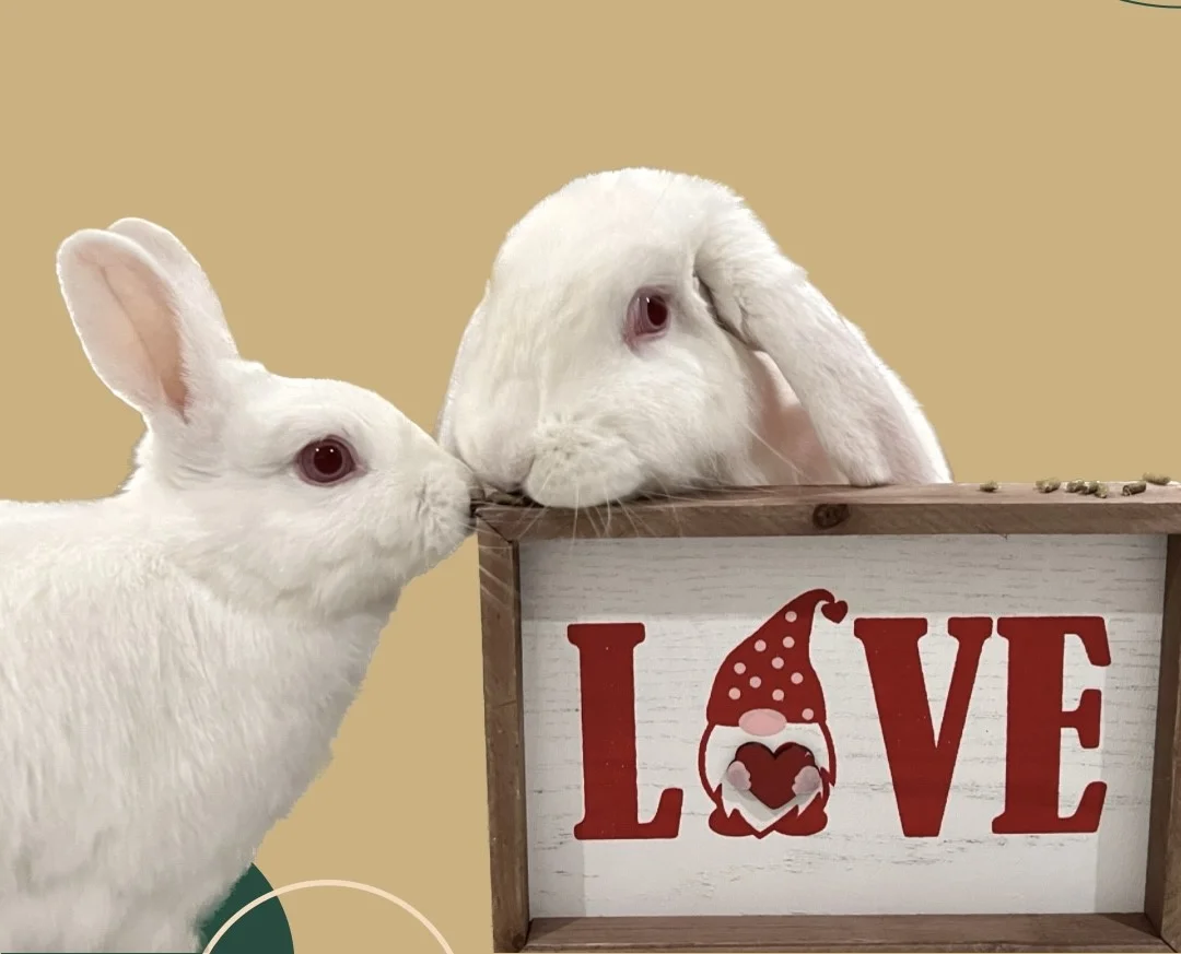 Marshmallow and Ezequiel