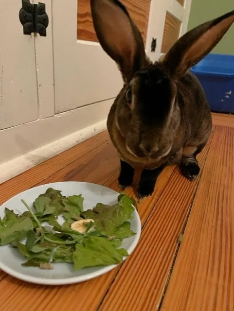 Olive partying