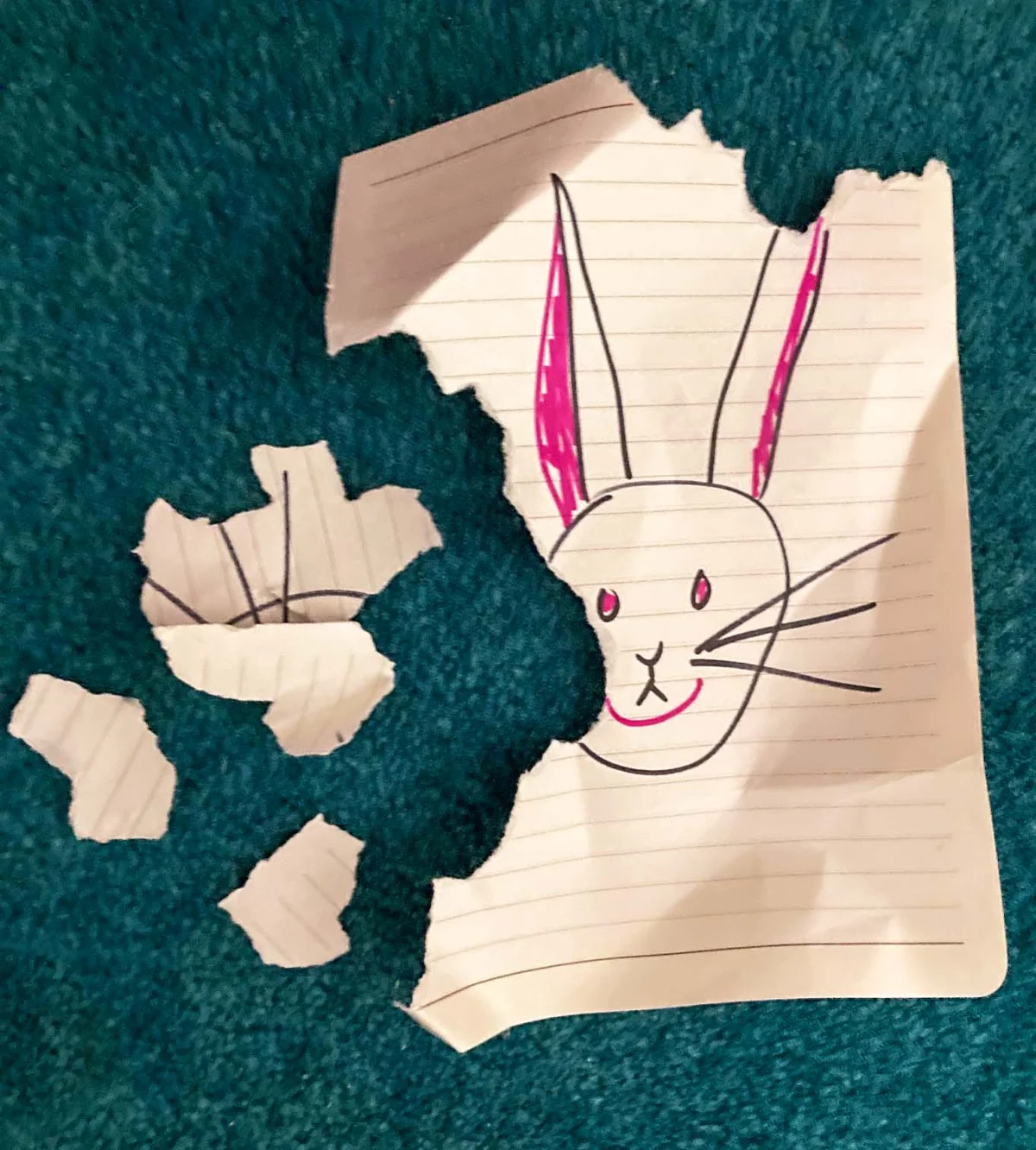 Belinda edits the bunny drawing