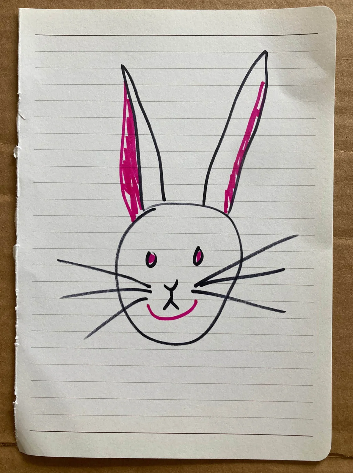 The roommate draws a bunny