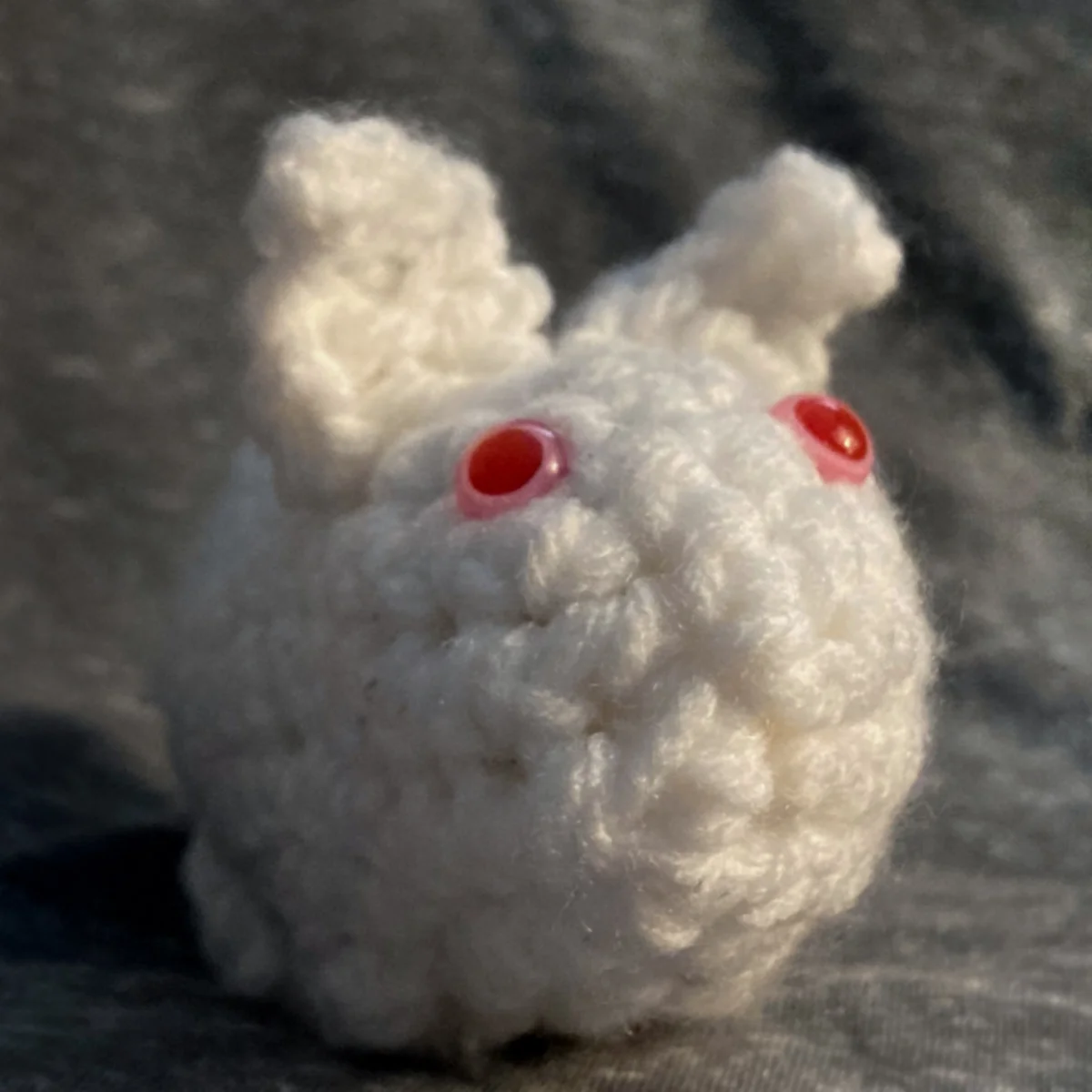 Little white bunny from Belinda's friend