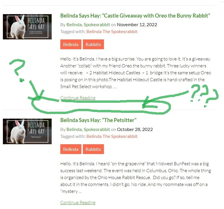 Belinda Says Hay: “Wayback Machine”