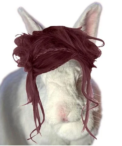 Belinda Says Hay: “Rabbits and Guinea Pigs: What’s Your Resolution?”