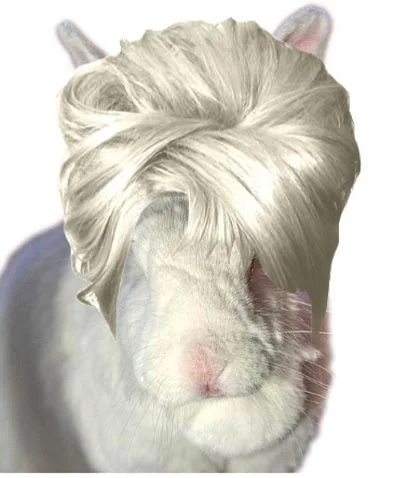 Belinda Says Hay: “Portrait App”