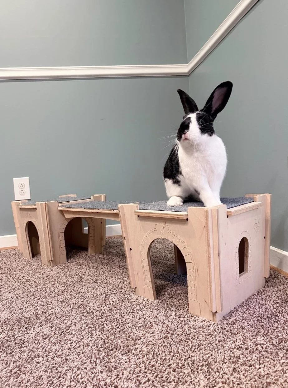 Oreo the Bunny Rabbit and Castle