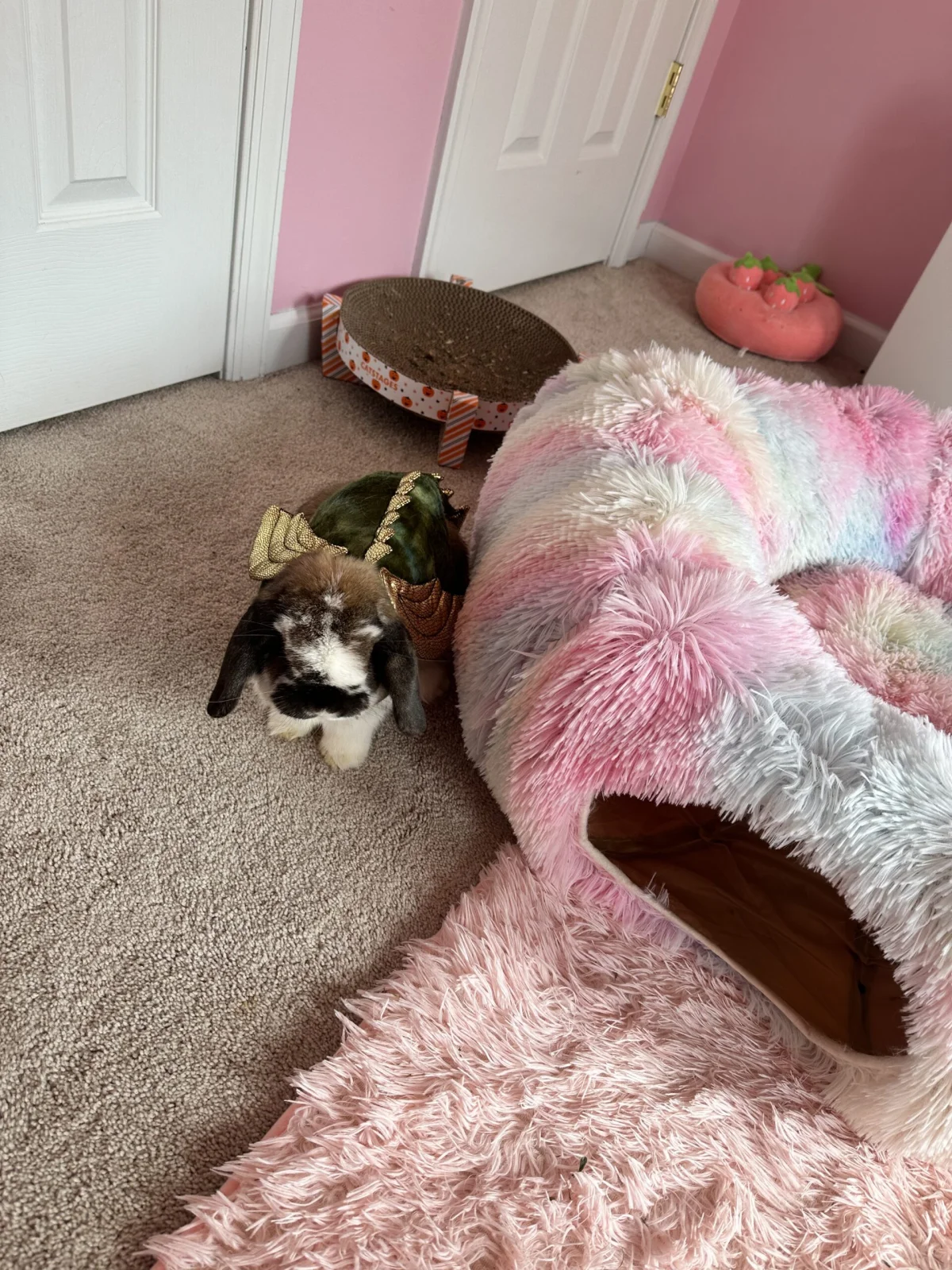 Wubzy and the dragon costume.