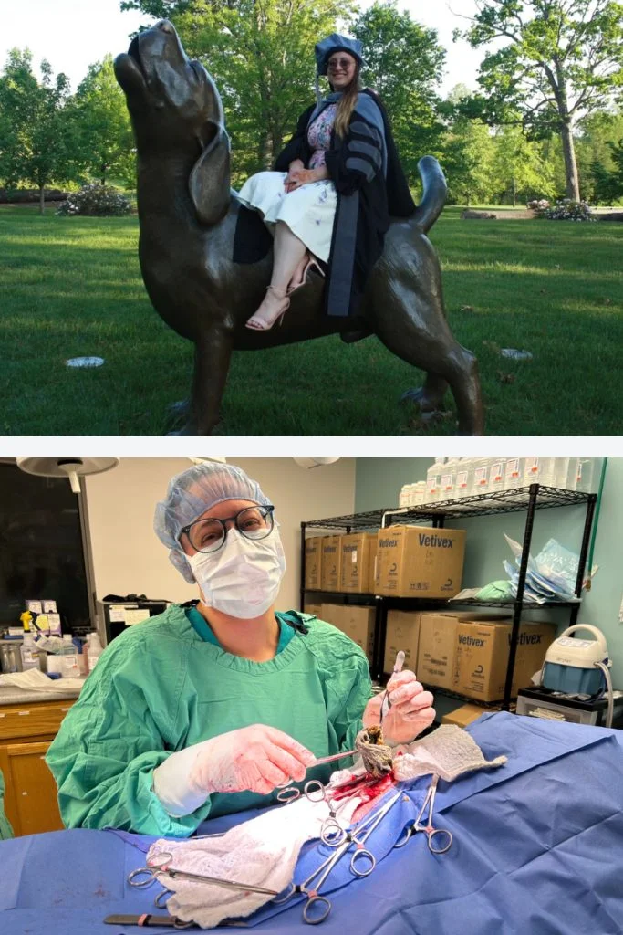 Veterinary Mentorship Builds Confidence Beyond Clinical Skills