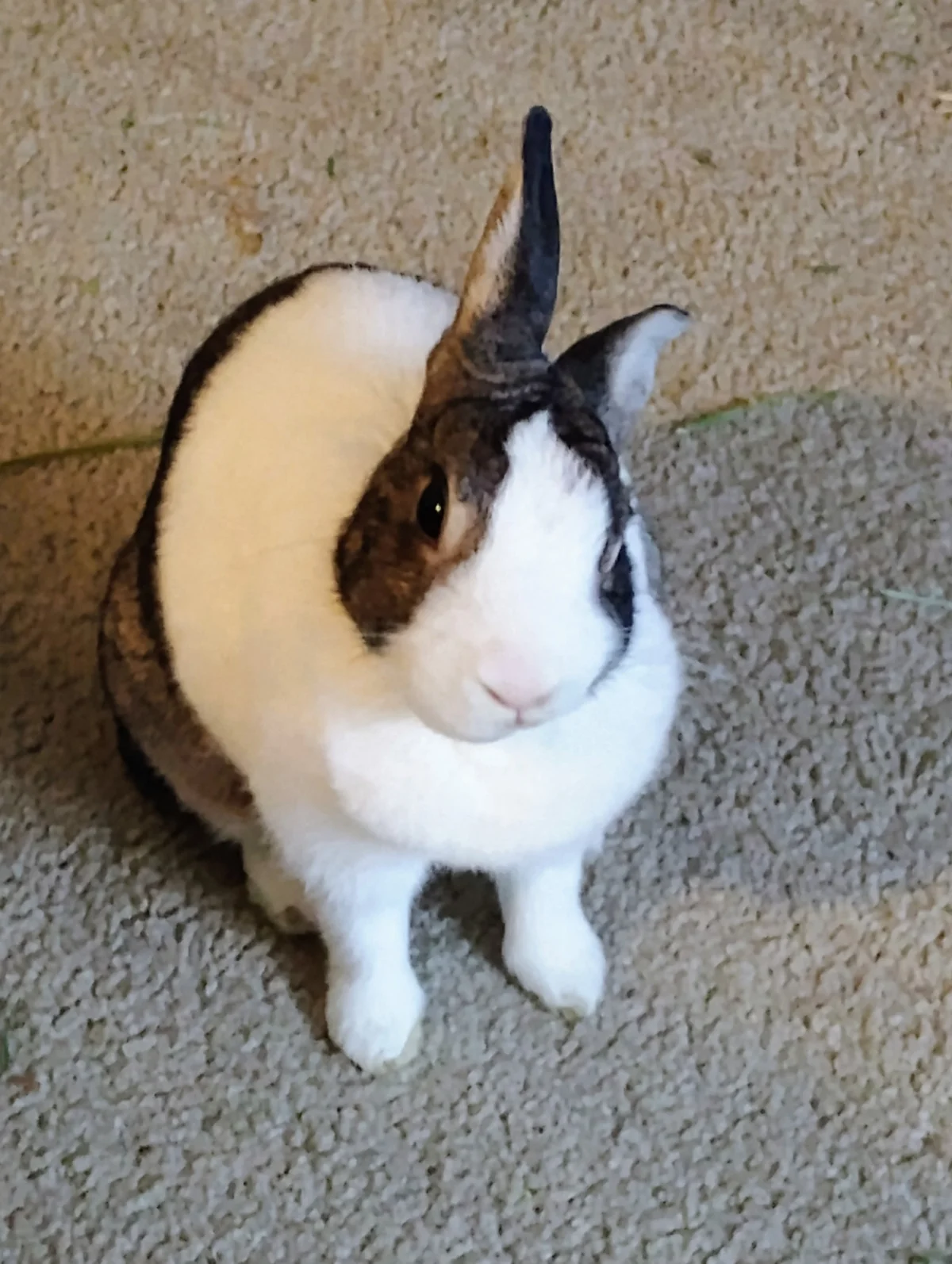 Belinda Says Hay: “What You’ve Sent So Far”
