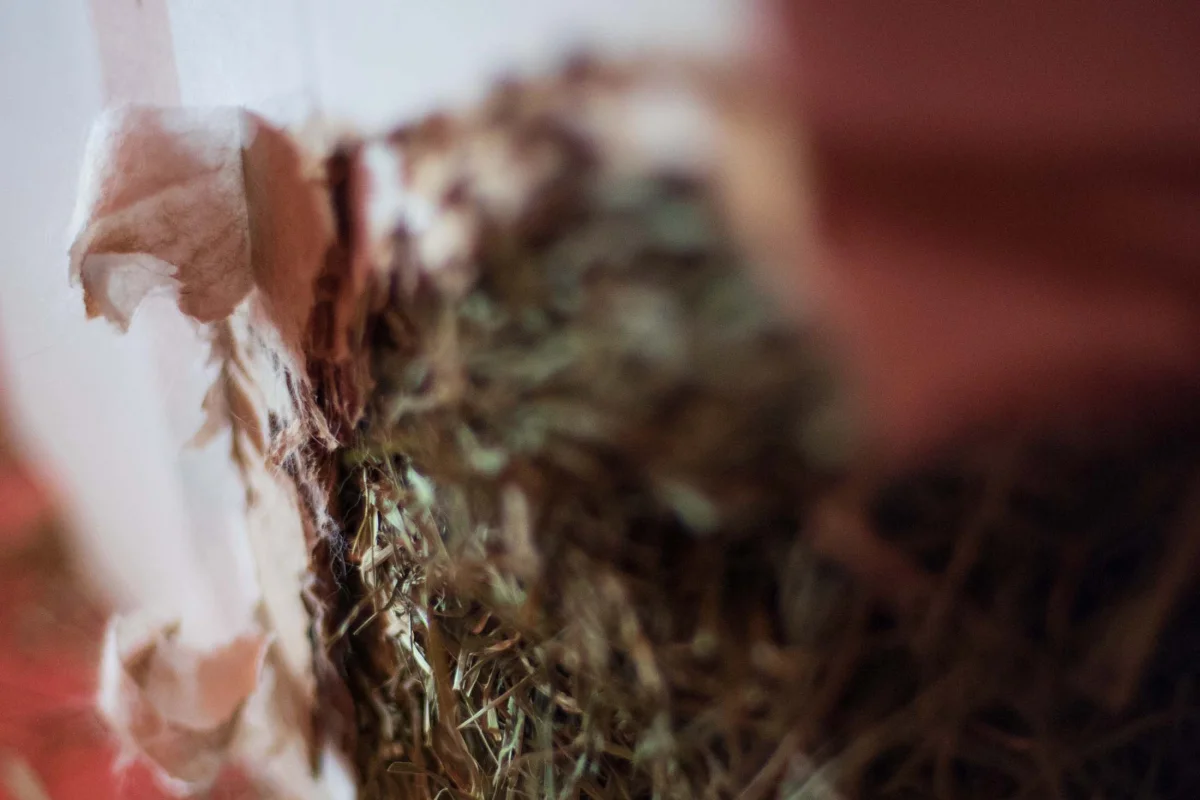 Belinda's Hay Toy Detail View