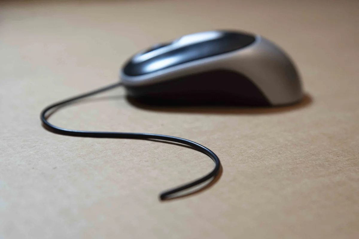 Mouse
