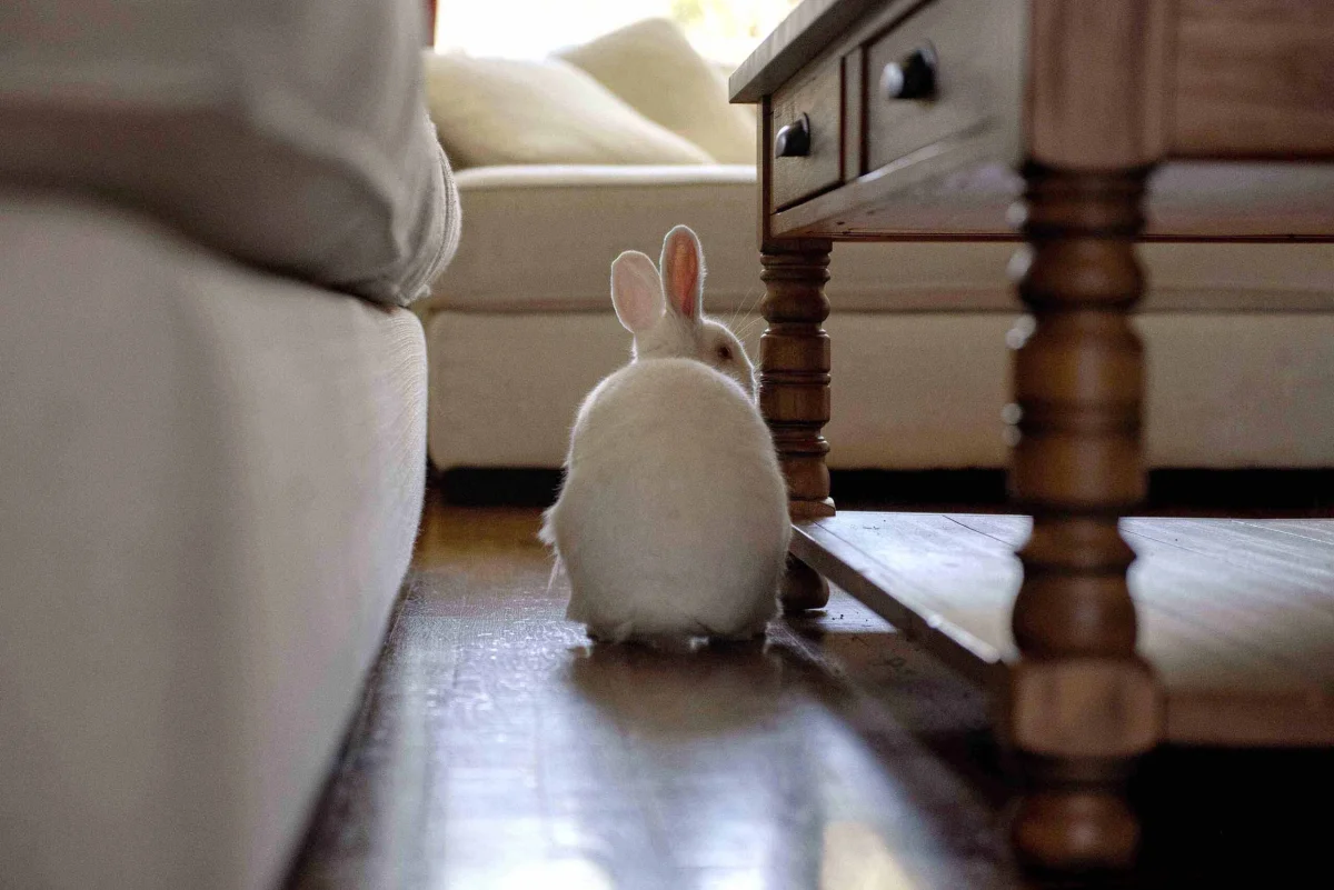 Belinda Says Hay: “A Blog”