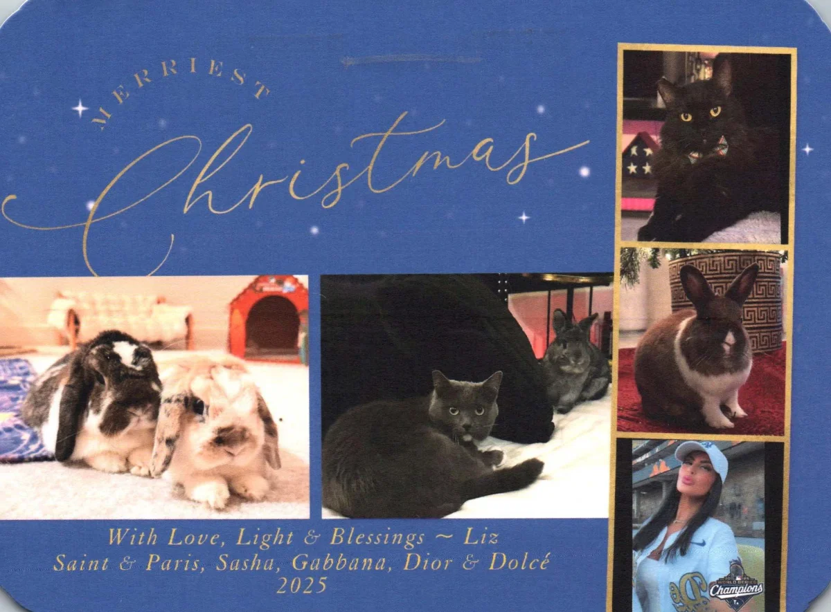 Belinda Says Hay: “Christmas Cards”