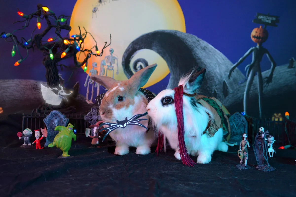 10 Coco Sally and Toffee Jack Skellington