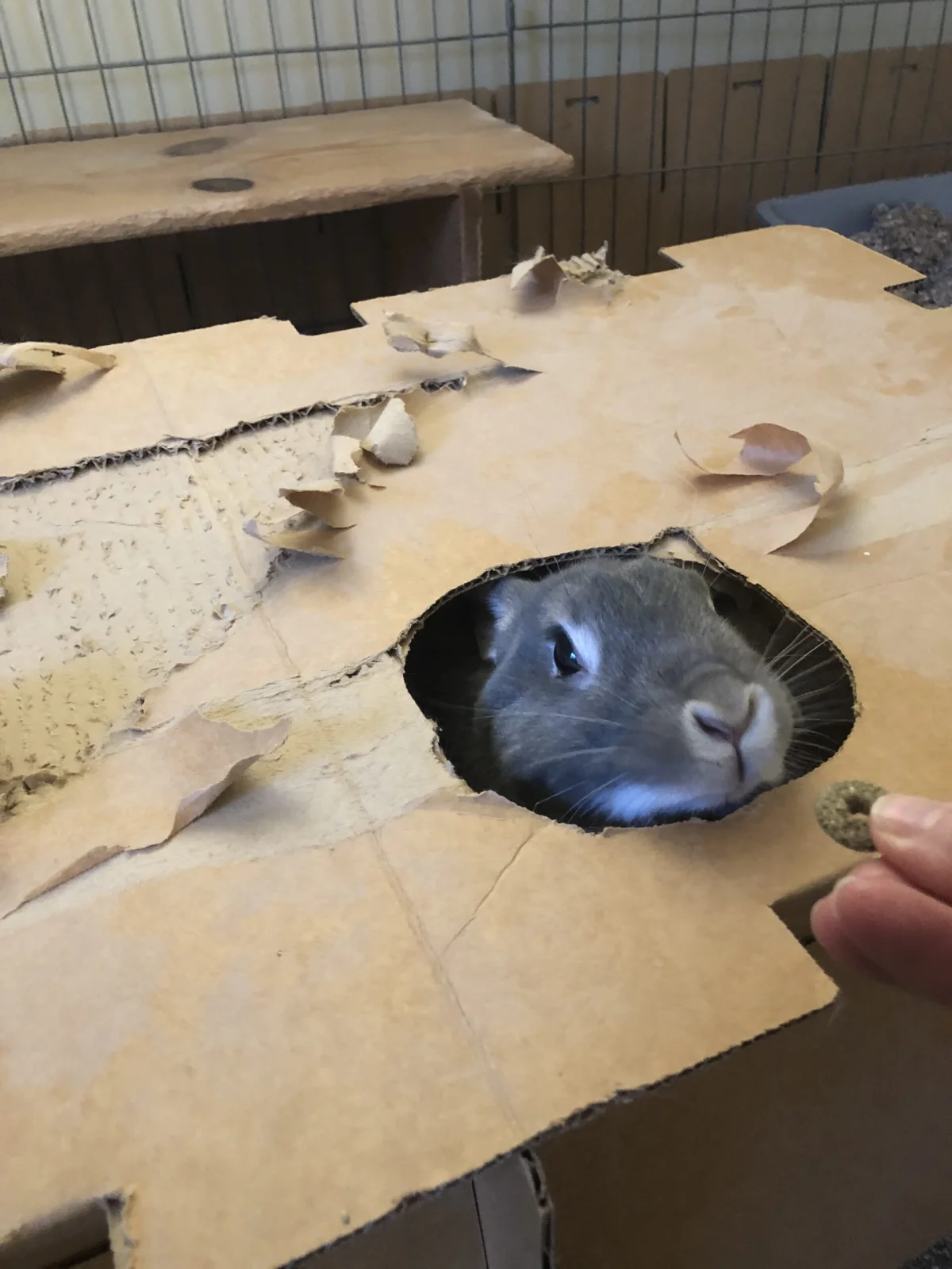 Belinda Says Hay: “A Fun Photo Blog“