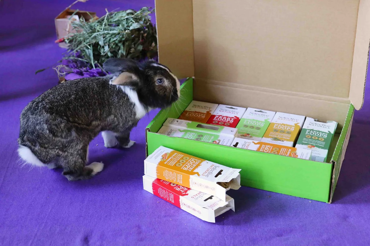 Belinda Says Hay: “Lazy Hay Blog”